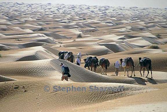 sea of dunes and caravan graphic